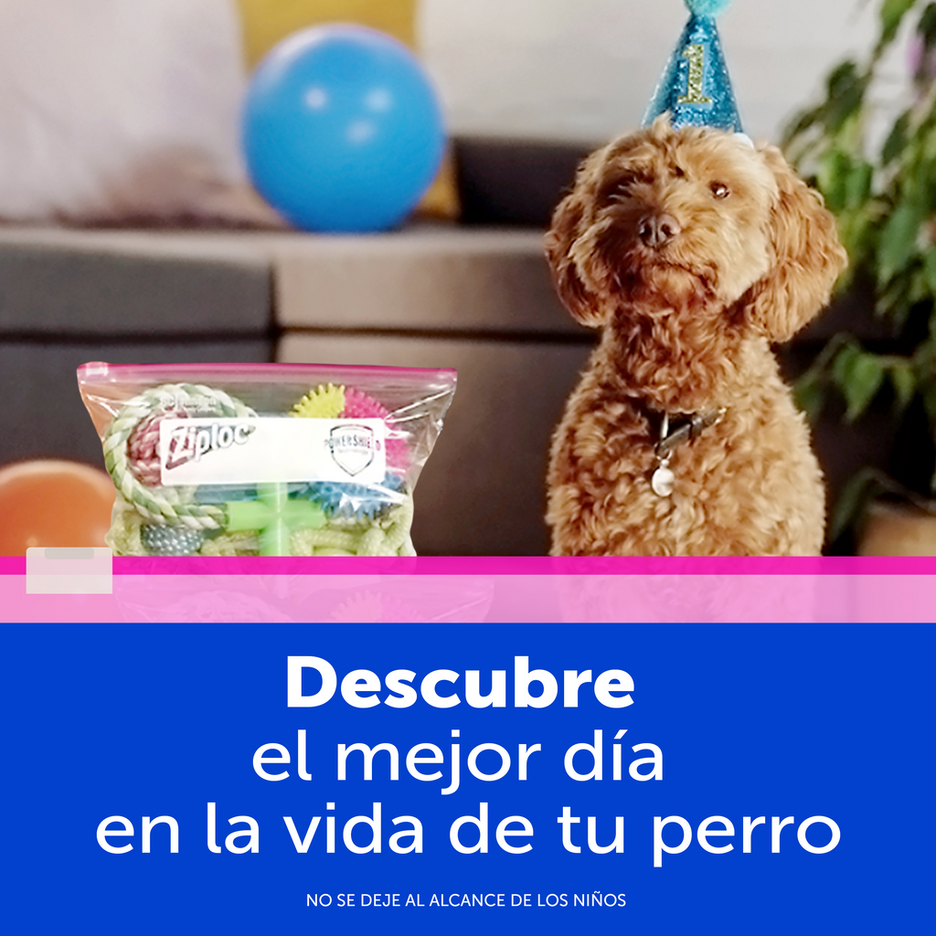 Ziploc Bolsa Reutilizable para Organizar Slider Grande 10 piezas