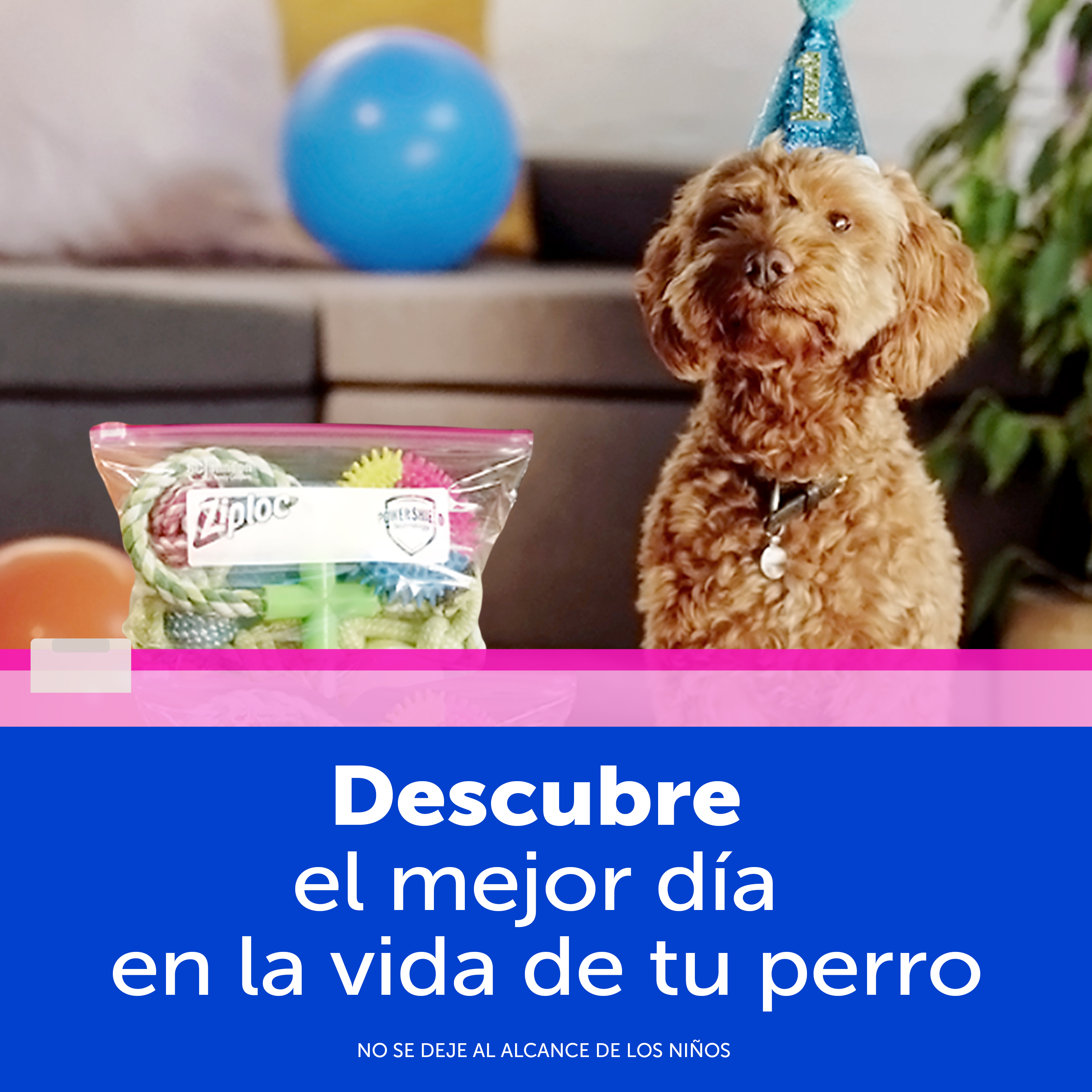 Ziploc Bolsa Reutilizable para Organizar Slider Grande 10 piezas