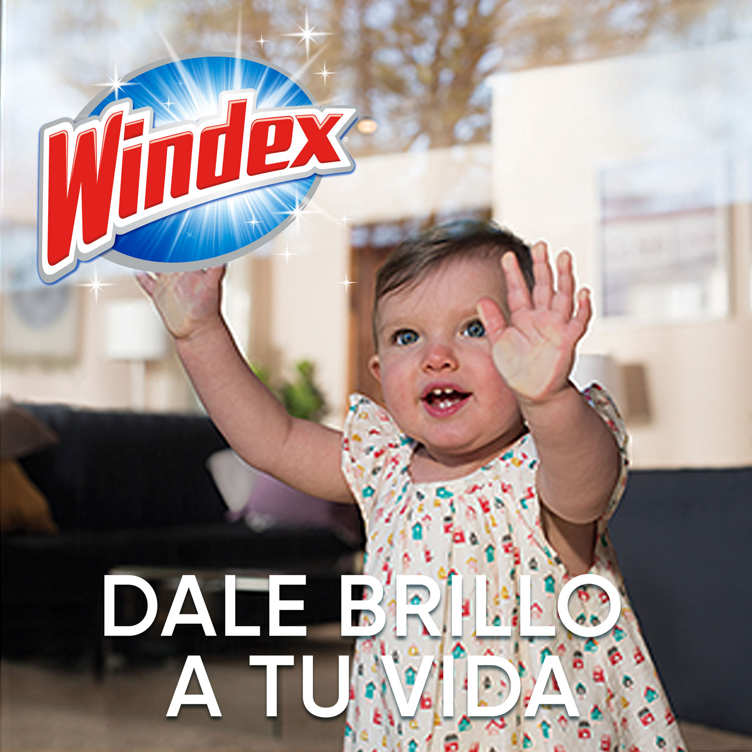 Windex Crystal Rain, Repuesto 500mL