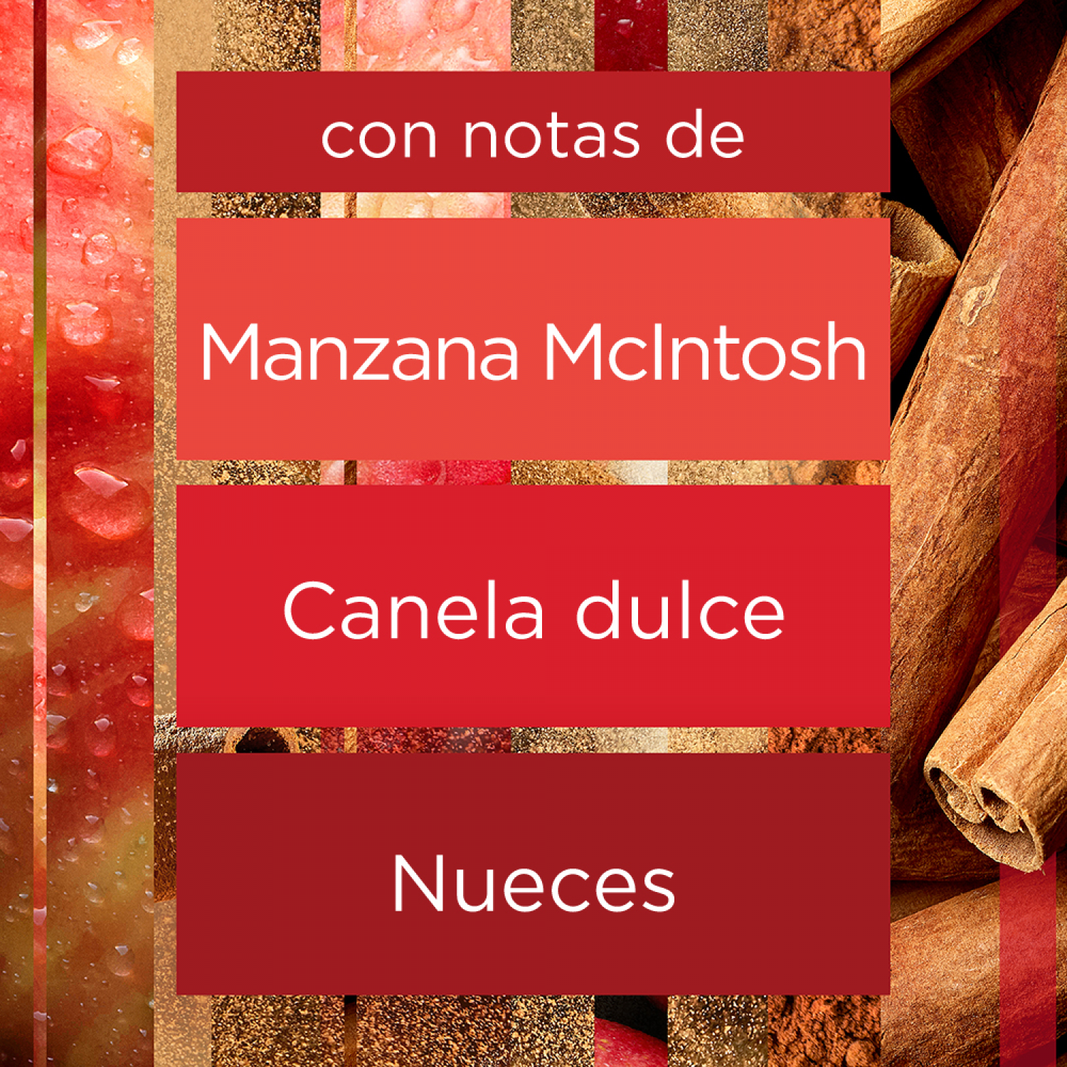 Glade Aromatizante Varitas Manzana Canela Frasco con 100 ml y 6 Varitas